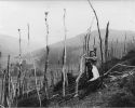 Schlagen der Eichenstangen, Foto: Otto Arnold, 25. Mai 1928