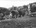 Lohfuhren zur Gerberei, Foto: Otto Arnold, 26. Mai 1930